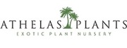 Online Plant Nursery Eastbourne
